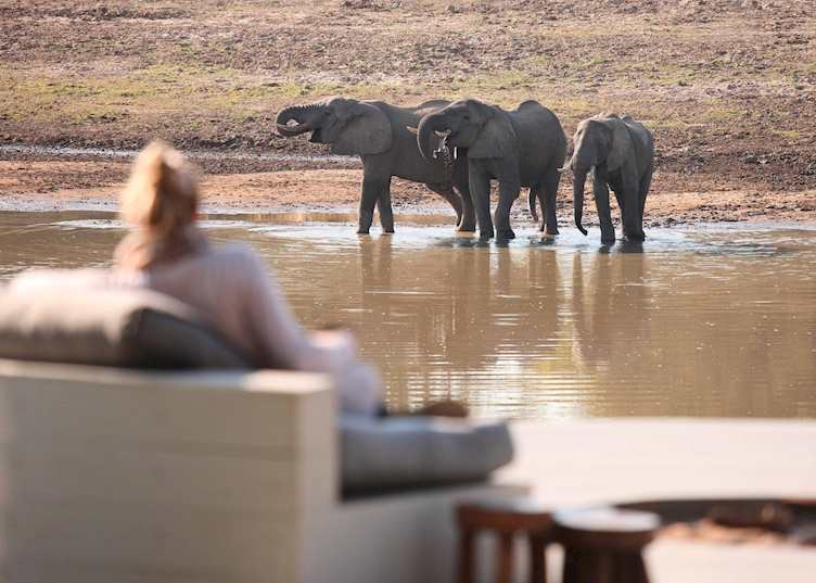 Watching elephants from Chinzombo Camp, South Luangwa National Park