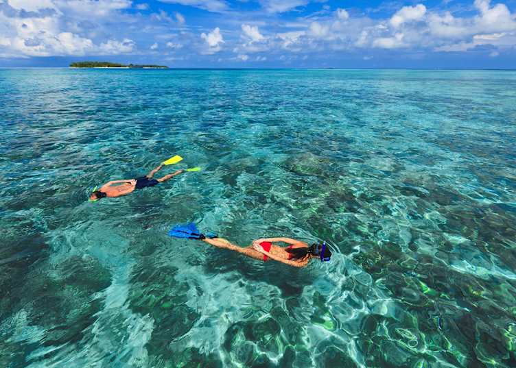 Snorkeling safari, Niva Kurumba Maldives