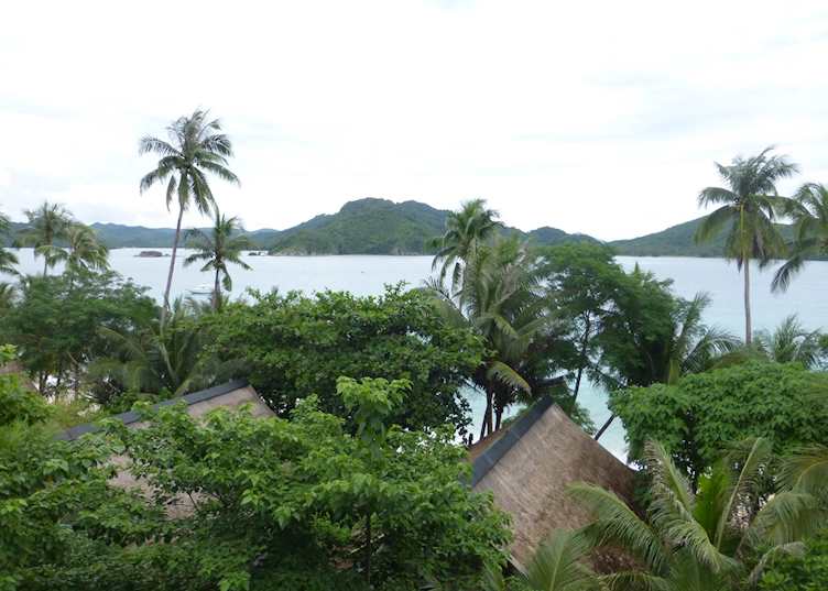 View from a Canopy Villa