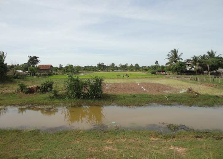 Countryside views, Siem Reap