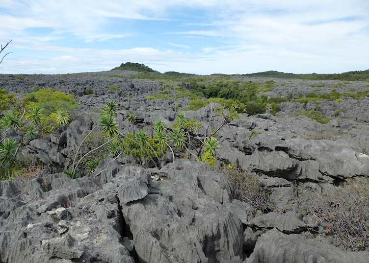 Ankarana Special Reserve, Madagascar