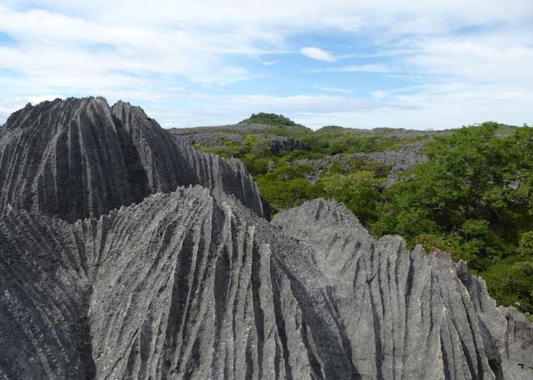 Ankarana Special Reserve, Madagascar