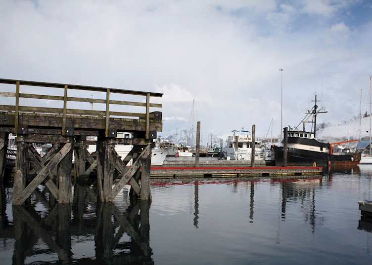Valdez Harbor