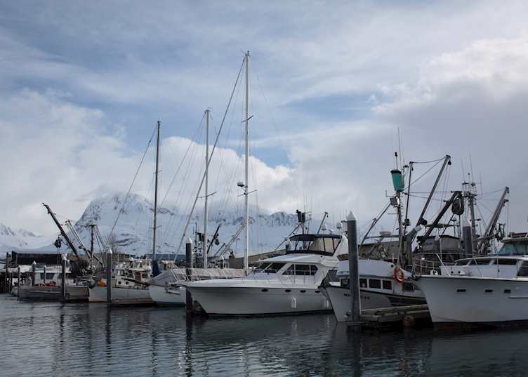 Boats in Valdez Harbor