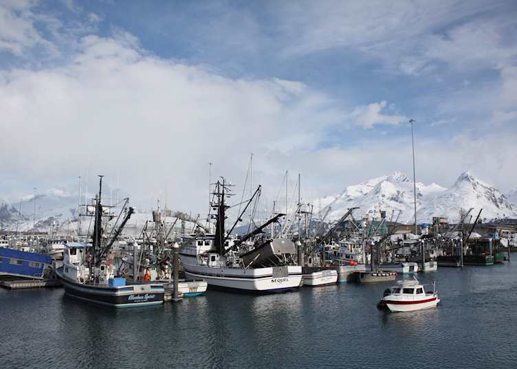 Valdez Harbor