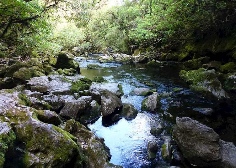 Riwaka River, Kahurangi National Park, New Zealand