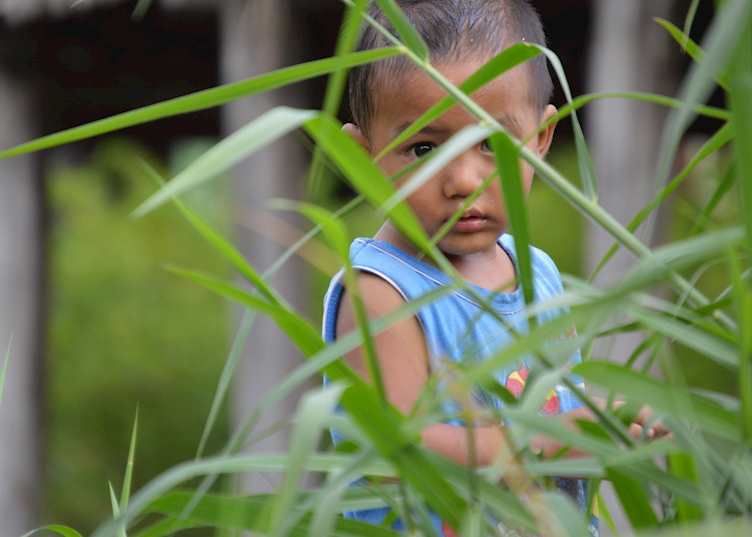 Hiding in the tall grass, Inle Lake, Burma (Myanmar)