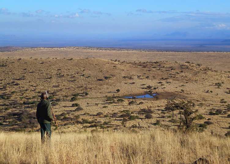 Walking safari, Lewa Wilderness Conservancy