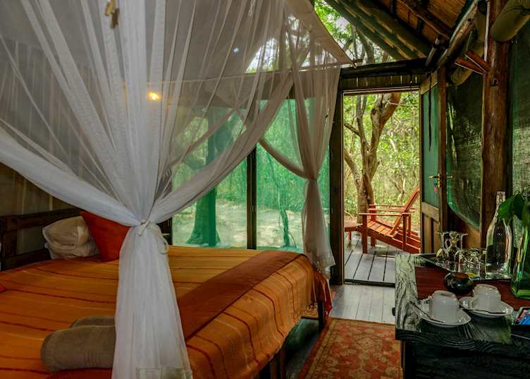 Kosi Forest Lodge, Elephant Coast