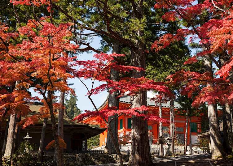 Pagoda and temples in the autumn foliage, Mount Koya