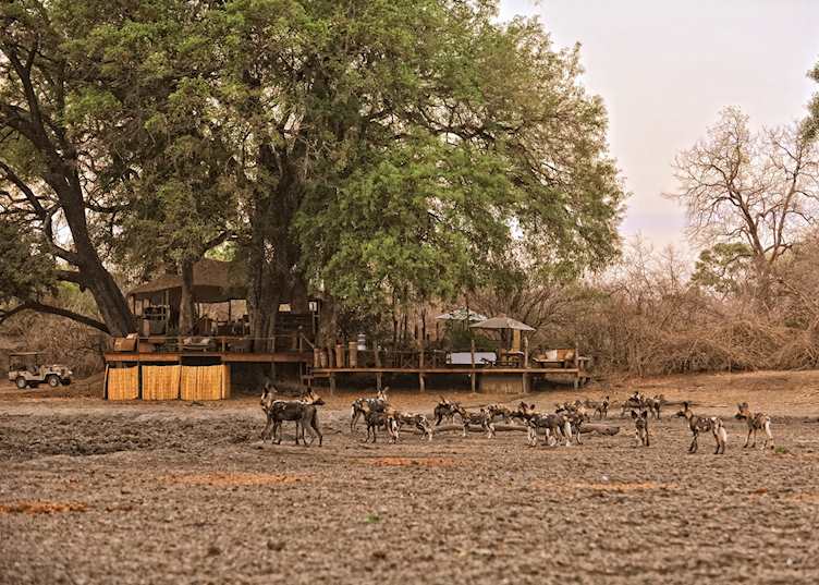 Kanga Camp, Mana Pools