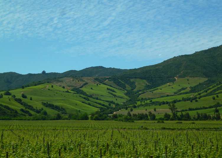 Colchagua Valley, Chile