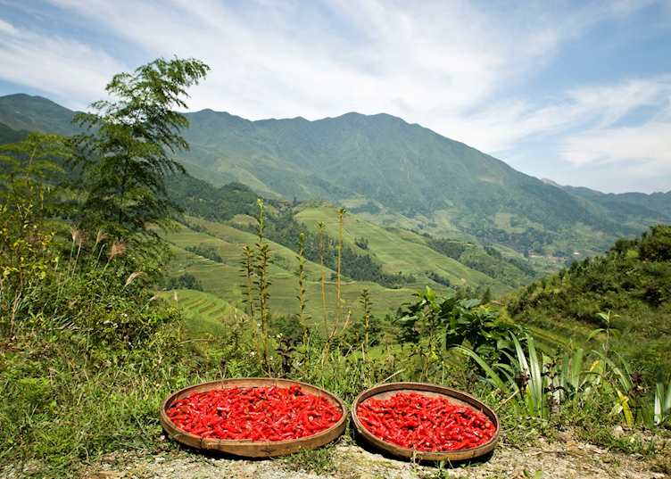 Chillies drying in Longji
