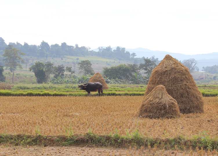 Hsipaw, Burma (Myanmar)