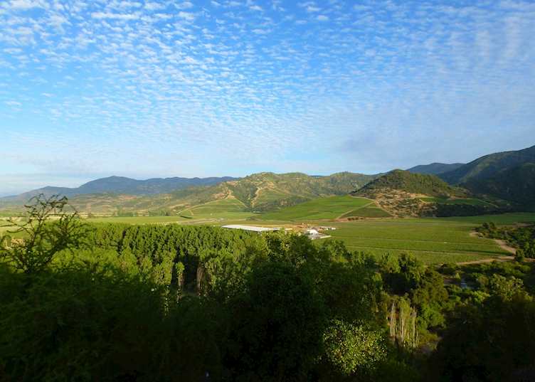 View from Vina Vik