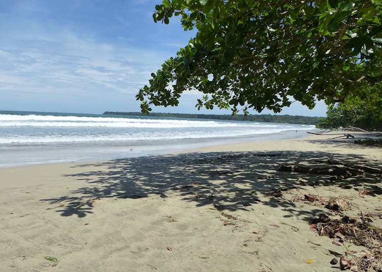 Cahuita Beach