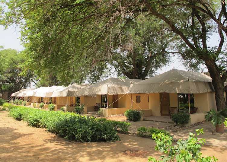 Samode Bagh tents