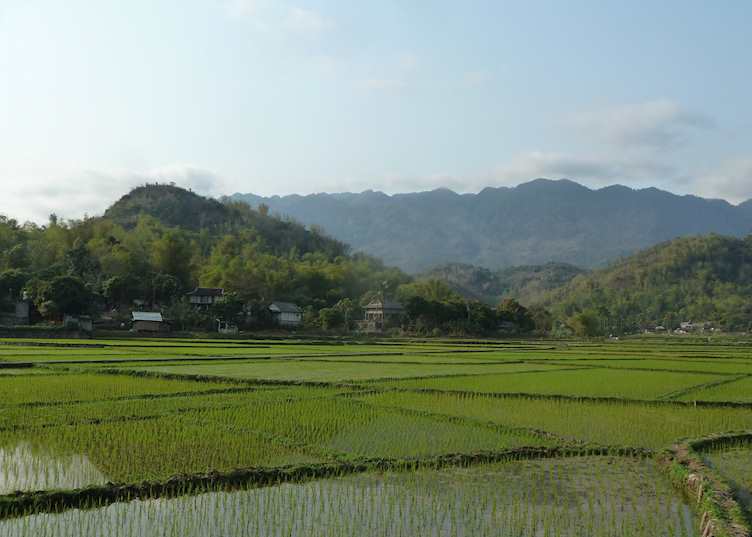 Rice paddies, Mai Chau