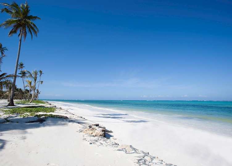 Beach, Baraza, Zanzibar Island