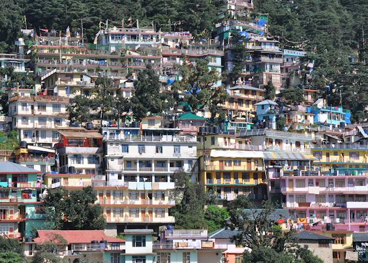 Houses in McLeod Ganj, near Dharamshala