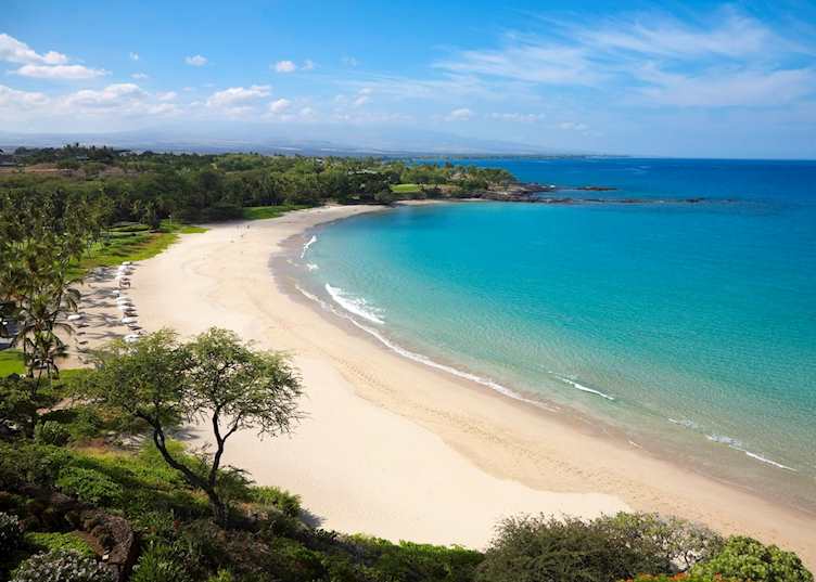 Beach, Mauna Kea Beach Hotel, Hawaii (Big Island)