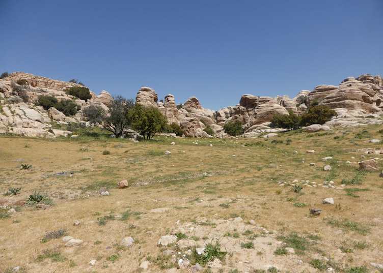Feathers Canyon Trail, Dana Biosphere Reserve