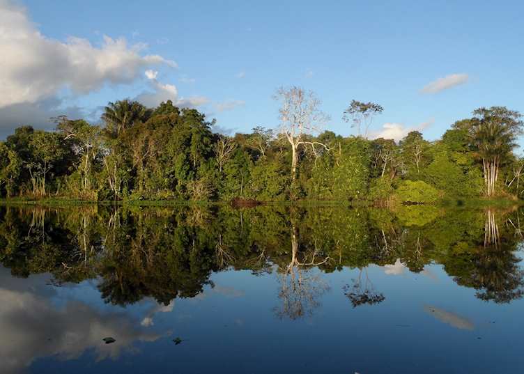 Amazon scenery, Peru