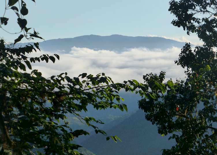 Cloudforest scenery, Ecuador