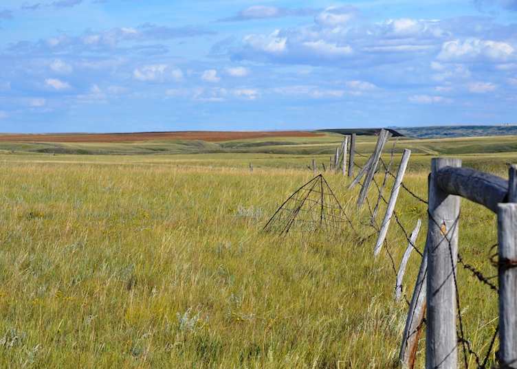 Saskatchewan landscape near La Reata Ranch, Canada