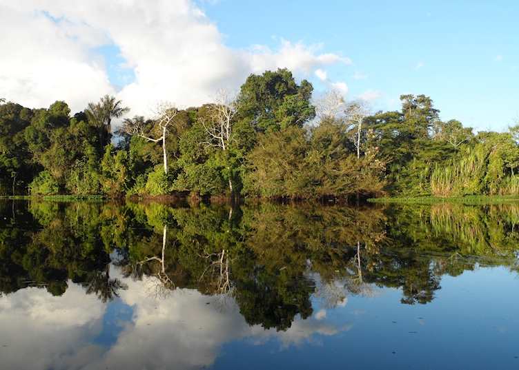 Amazon, Peru