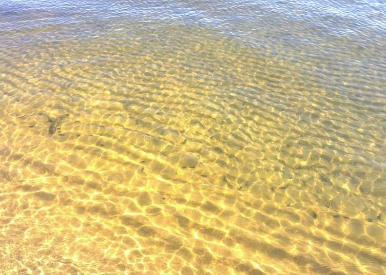 Shallow and clear ocean waters