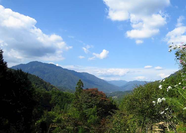Itsukushima Shrine, Miyajima Island