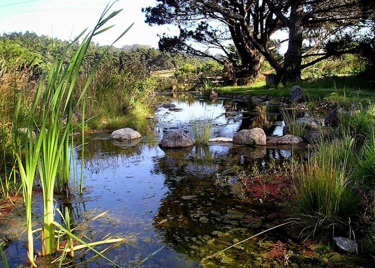 Grounds at Brewery Gulch Inn, Mendocino