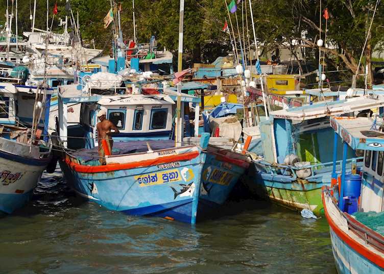 Boats in the harbour, Negombo