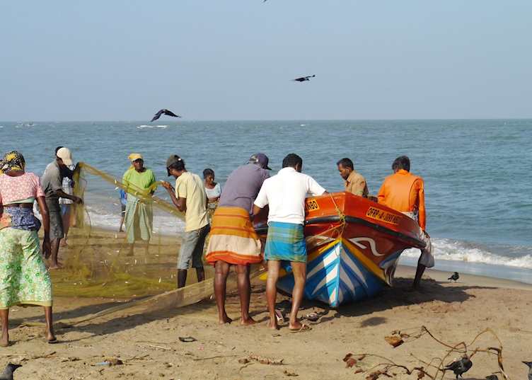 Fishermen on the beach, Negombo
