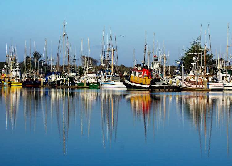 Humboldt Bay Marina, Eureka