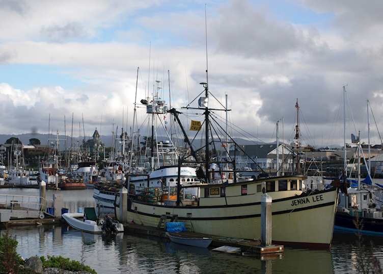 Woodley Island Marina, Eureka