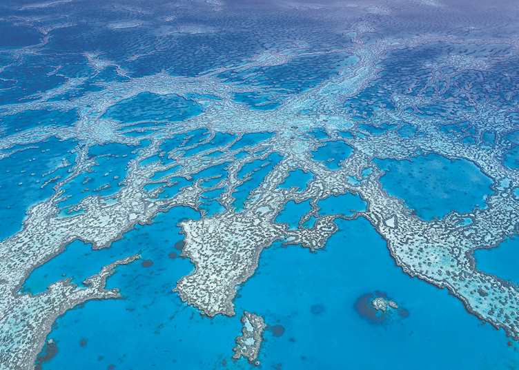 Hardy Reef