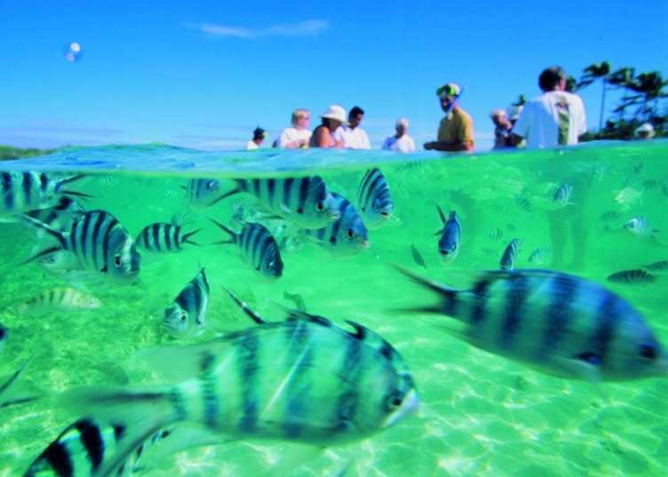 Snorkelling from the Blue Lagoon cruise