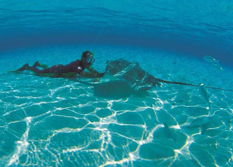 Swimming with the stingrays, Moorea