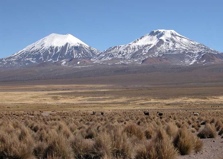Sajama National Park, Bolivia