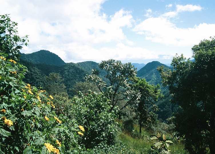 Bellavista, Ecuador