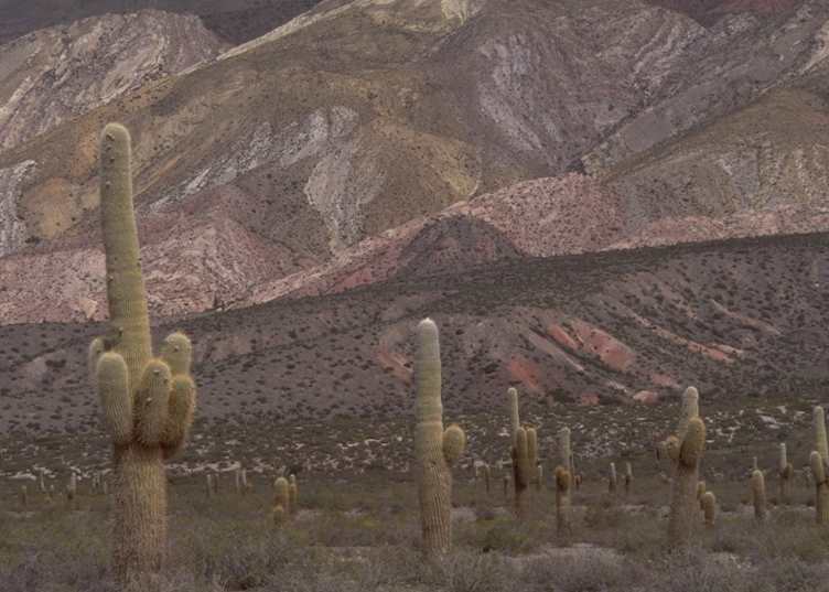 Salta, Argentina
