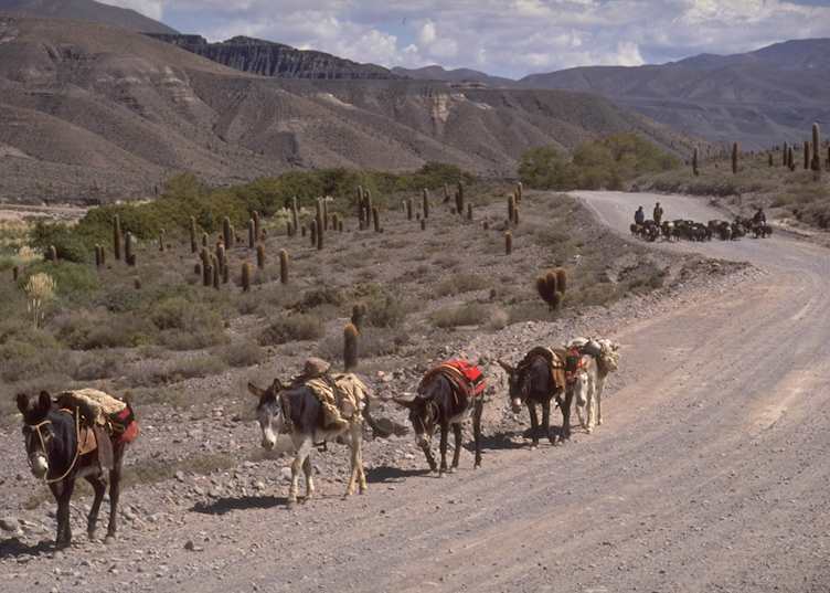 Salta, Argentina