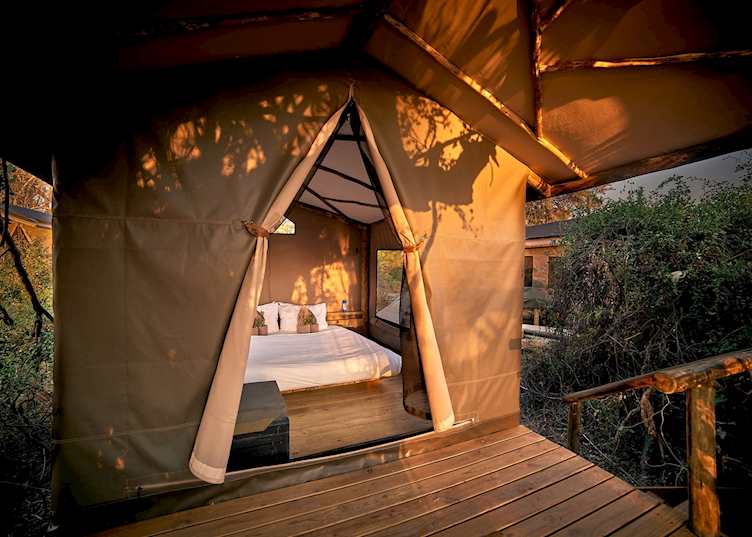Oddballs' Camp tent interior 