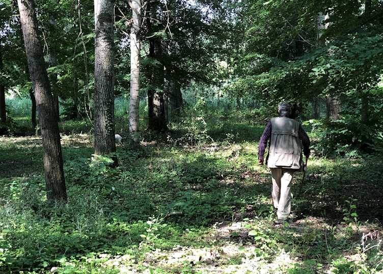 Truffle hunter, Langhe