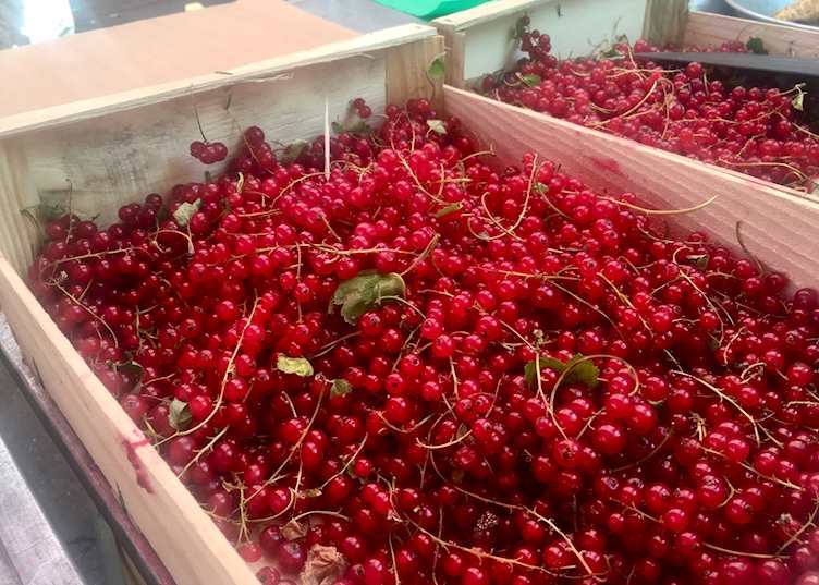 Berries at market