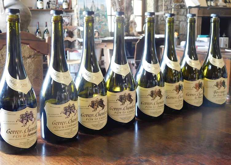 Côte de Nuits, Burgundy