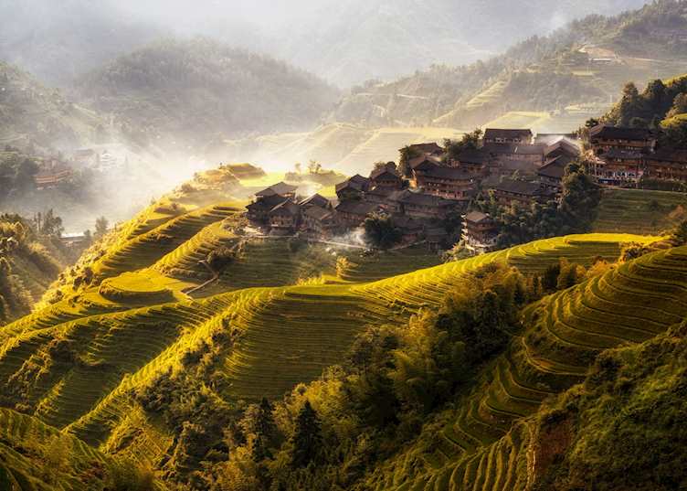 Rice terraces, Longji
