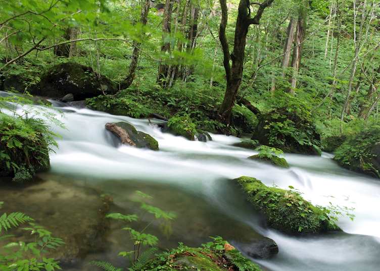 Oirase Gorge